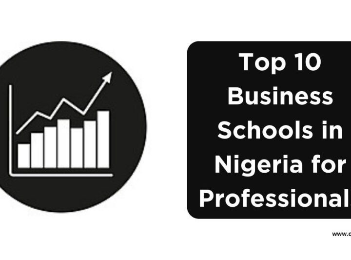 Exploring Top Professional Courses In Nigeria